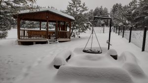 IMG-20221219-WA0003