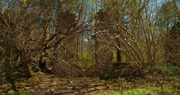 Ruiny Starej Papierni - Czartowe Pole